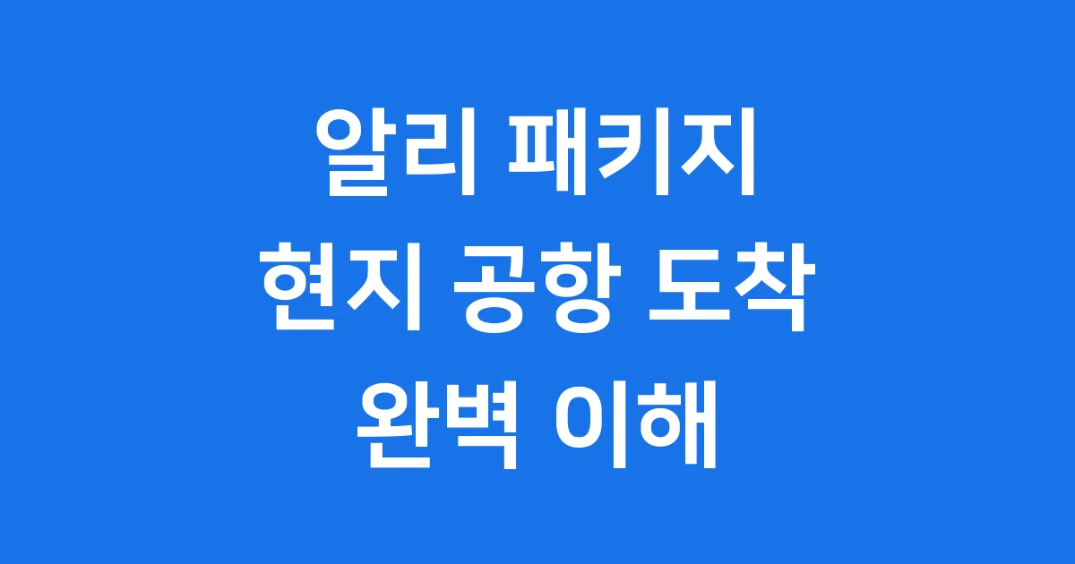 알리 패키지 현지 공항 도착 의미와 배송