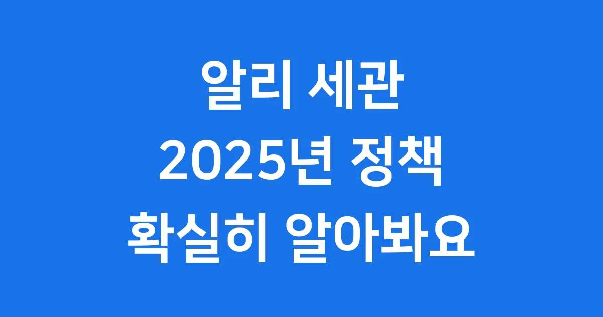 알리 세관 업데이트 2025년: 스마트 직구를 위한 필수 가이드